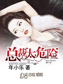 《豪门星妻:总裁太危险》