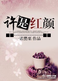 《许是洪颜/原装备胎要逆袭》