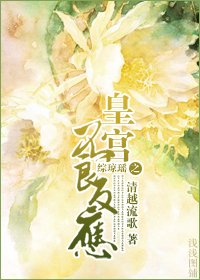 《(BG/综琼瑶同人)皇宫不良反应》