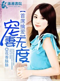 《首席擒爱,宠妻无度》