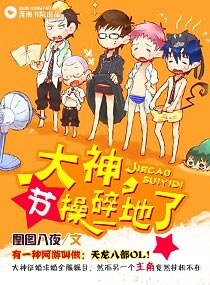 《大神,节操碎一地了》