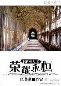《HP同人之荣耀永恒》