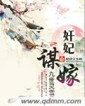 《见妃谋嫁》
