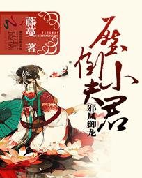 《邪凤御龙:压倒小夫君》