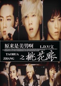 《(原来是美男啊同人/BG)桃花账》