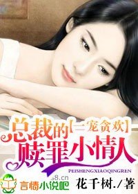 《一宠贪欢,总裁的赎罪小情人/强宠,我的流氓总裁》