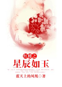 《(红楼同人/BL)红楼之星辰如玉》