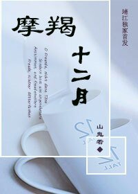《摩羯十二月》