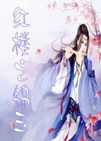 《(洪楼同人/BL)洪楼之锦玉》