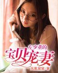 《左少董的宝贝宠妻》