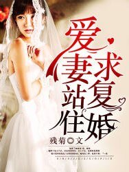 《爱妻站住,求复婚》