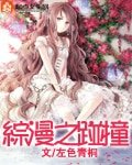 《(BG/综漫同人)综漫之碰撞》
