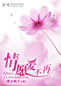 《情愿爱不再》