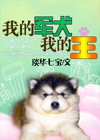 《我的军犬我的王(重生兽)》