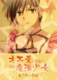 《(BL/综同人)才不是魔法少女》