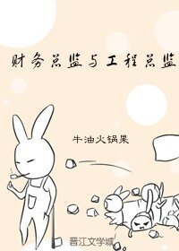 《财务总监与工程总监》