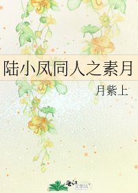 陆小凤同人之素月