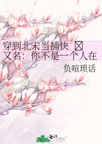 穿到北宋当捕快 又名：你不是一个人在战斗——代号891